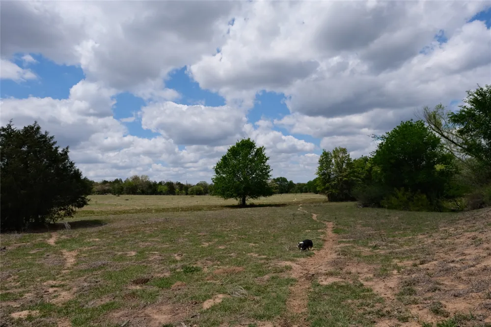 446 Herron Trail McDade, TX 78650