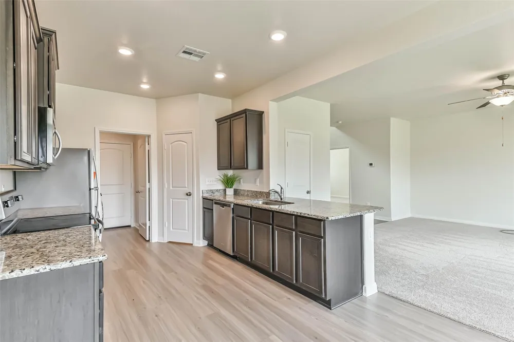 1123 Rare Fancy Drive Iowa Colony, TX 77583