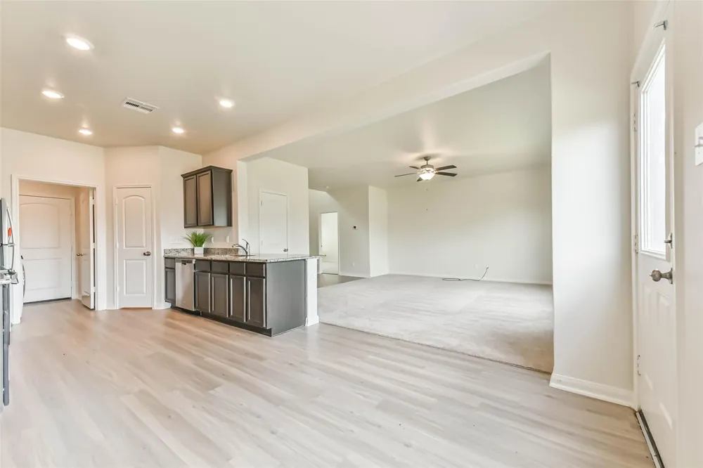 1123 Rare Fancy Drive Iowa Colony, TX 77583