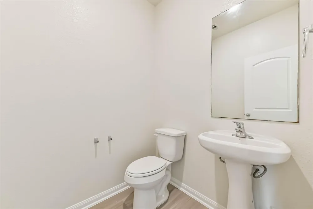1123 Rare Fancy Drive Iowa Colony, TX 77583