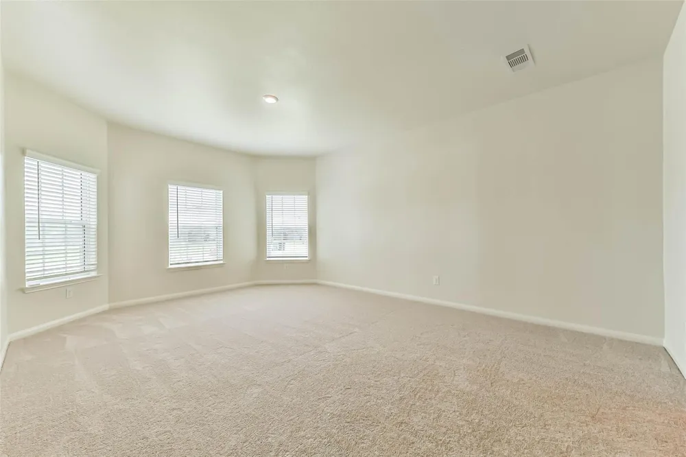 1123 Rare Fancy Drive Iowa Colony, TX 77583