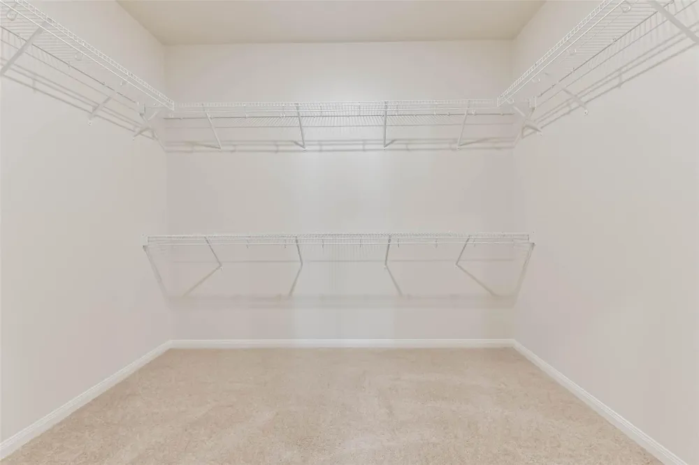 1123 Rare Fancy Drive Iowa Colony, TX 77583