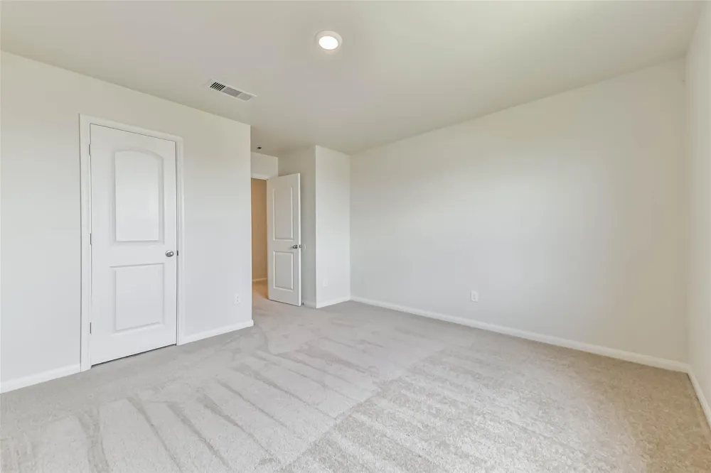 1123 Rare Fancy Drive Iowa Colony, TX 77583
