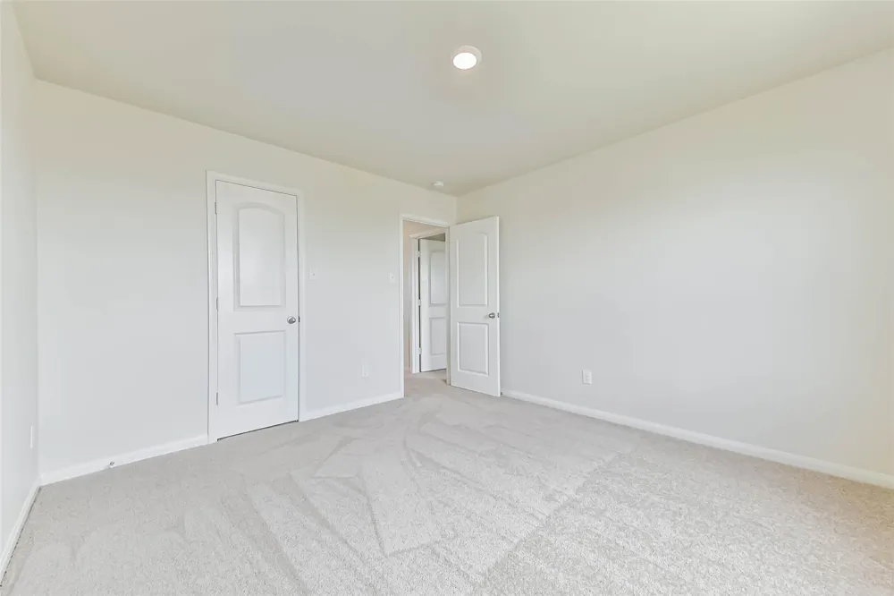 1123 Rare Fancy Drive Iowa Colony, TX 77583