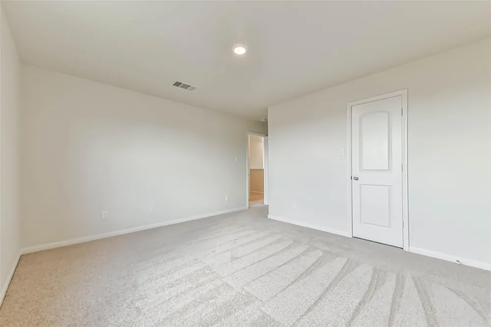 1123 Rare Fancy Drive Iowa Colony, TX 77583