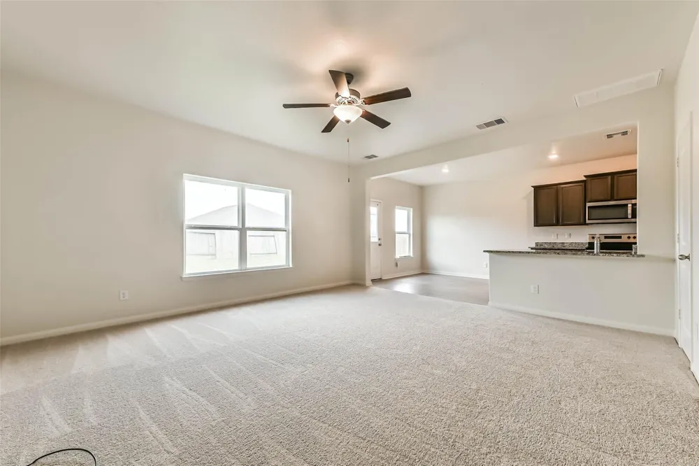1123 Rare Fancy Drive Iowa Colony, TX 77583