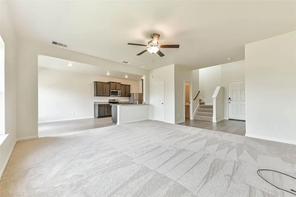 1123 Rare Fancy Drive Iowa Colony, TX 77583