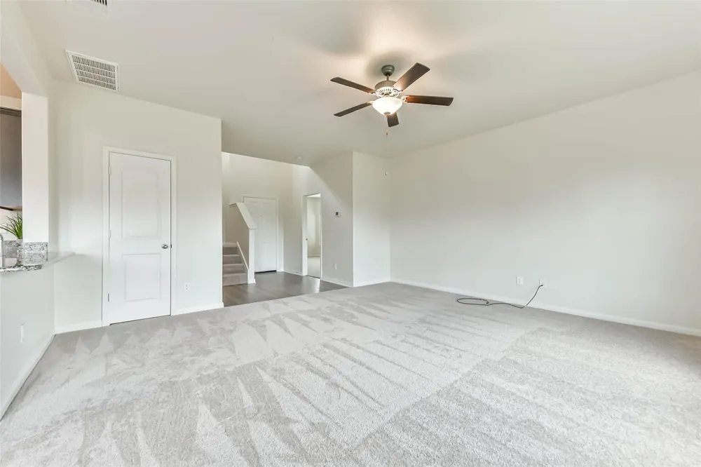 1123 Rare Fancy Drive Iowa Colony, TX 77583
