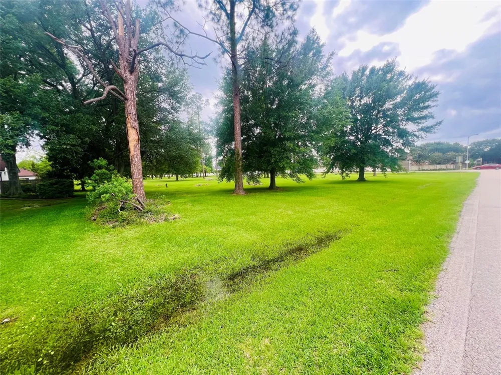 24505 Roesner Road Katy, TX 77494