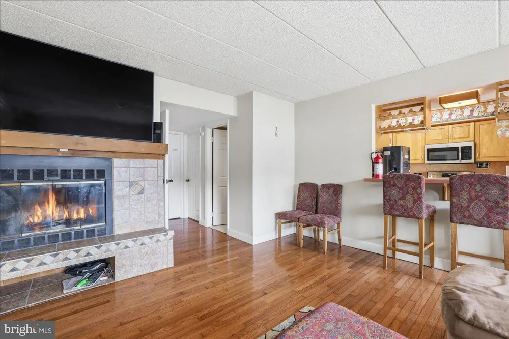 45 MIDLAKE #101G Lake Harmony, PA 18624