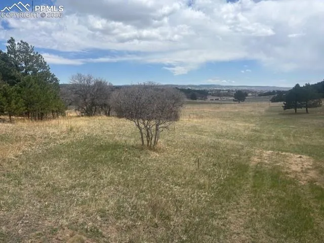 3615 Summertime Court Monument, CO 80132