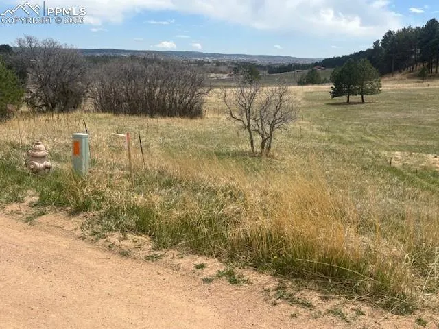3615 Summertime Court Monument, CO 80132