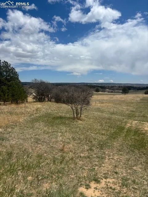 3615 Summertime Court Monument, CO 80132