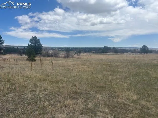 3615 Summertime Court Monument, CO 80132