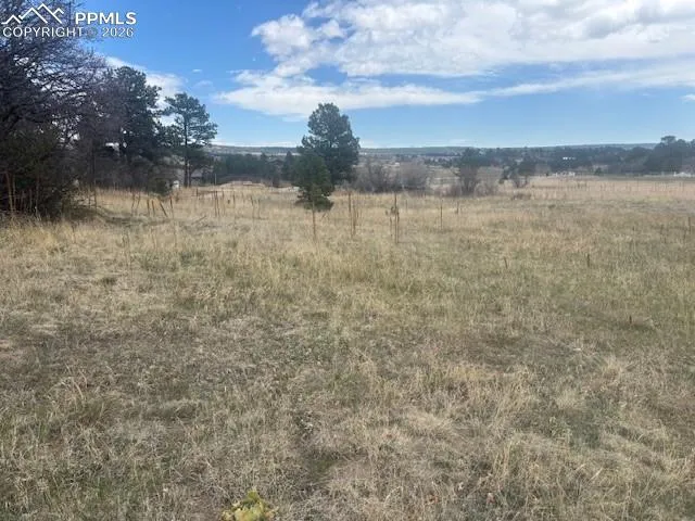 3615 Summertime Court Monument, CO 80132
