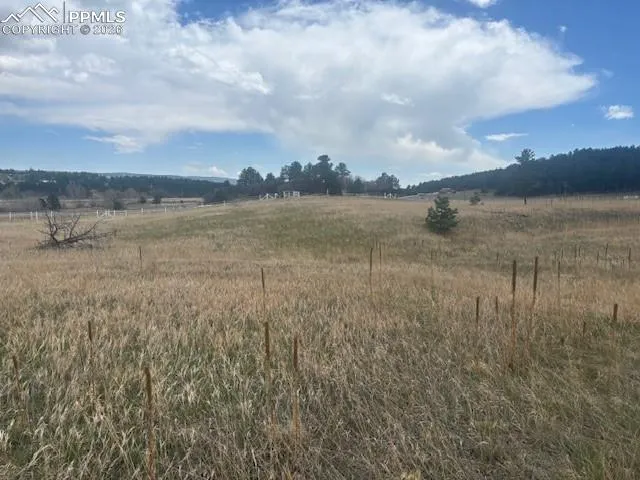 3615 Summertime Court Monument, CO 80132