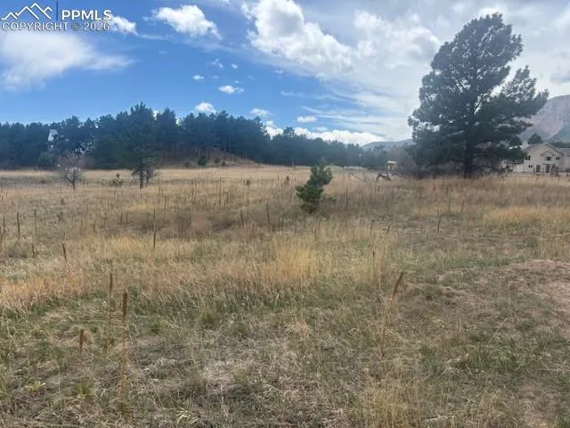 3615 Summertime Court Monument, CO 80132
