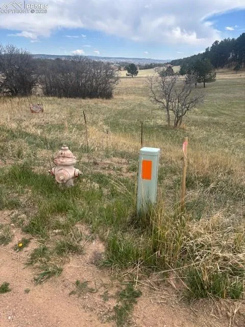 3615 Summertime Court Monument, CO 80132