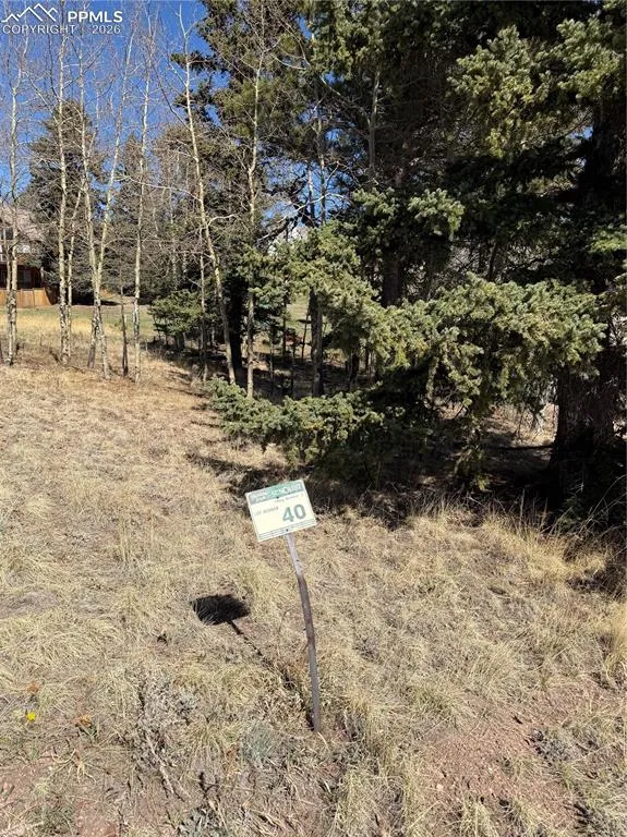405 Meadow Park Drive Divide, CO 80814