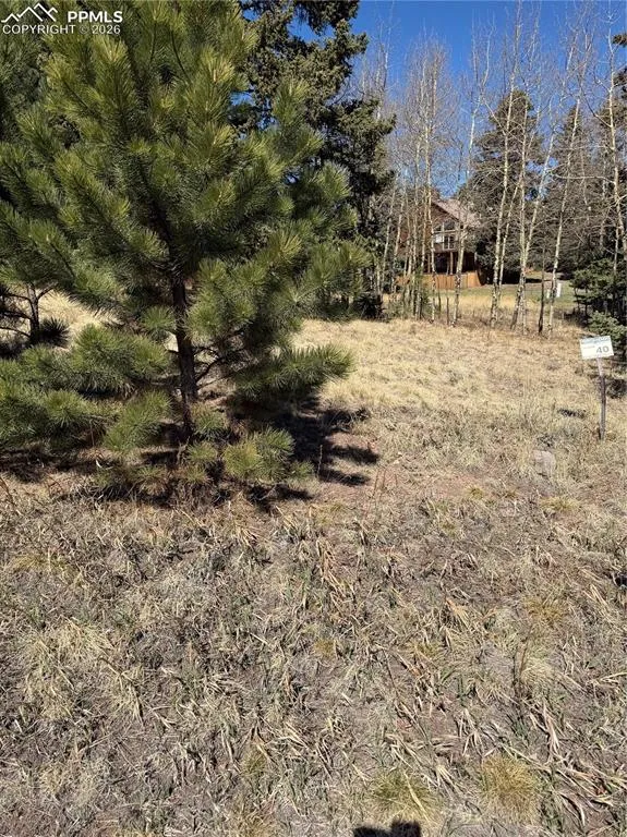 405 Meadow Park Drive Divide, CO 80814