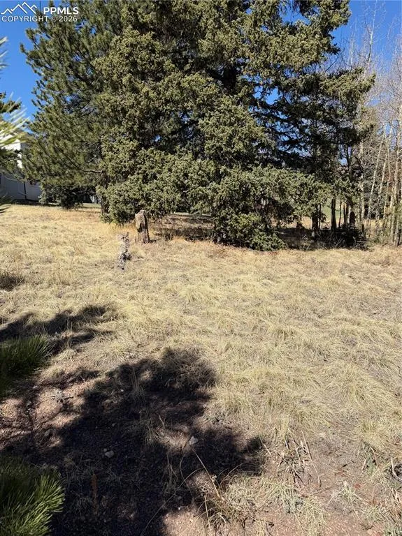 405 Meadow Park Drive Divide, CO 80814