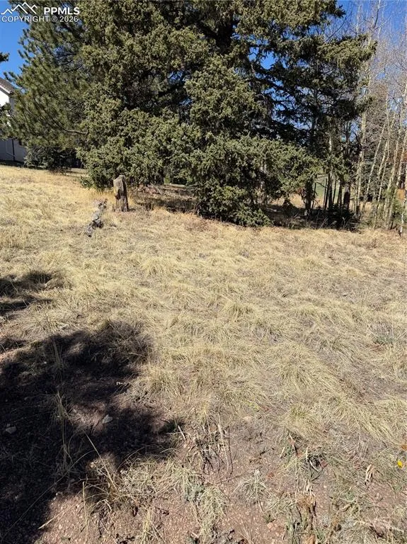 405 Meadow Park Drive Divide, CO 80814