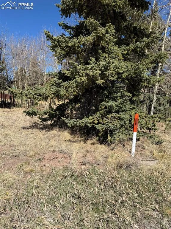 405 Meadow Park Drive Divide, CO 80814
