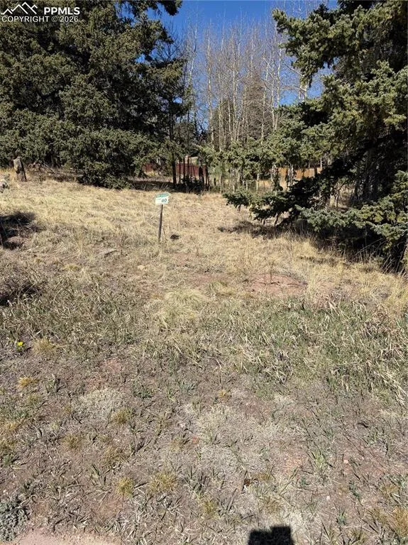405 Meadow Park Drive Divide, CO 80814