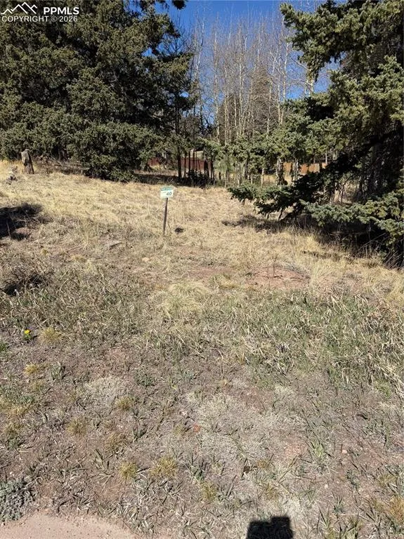 405 Meadow Park Drive Divide, CO 80814