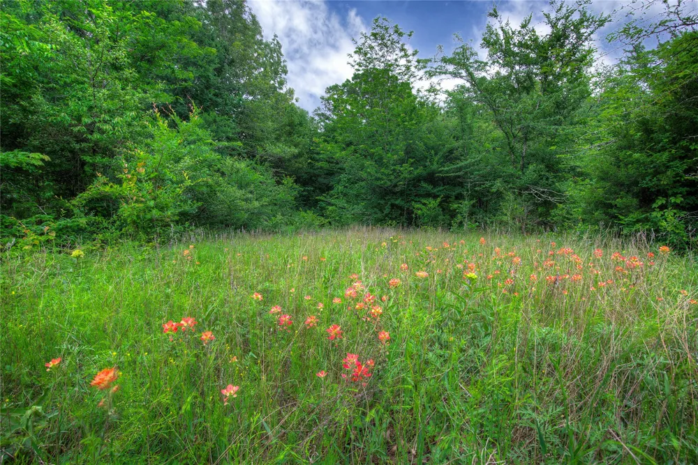 1774 County Road 3562 Dike, TX 75437
