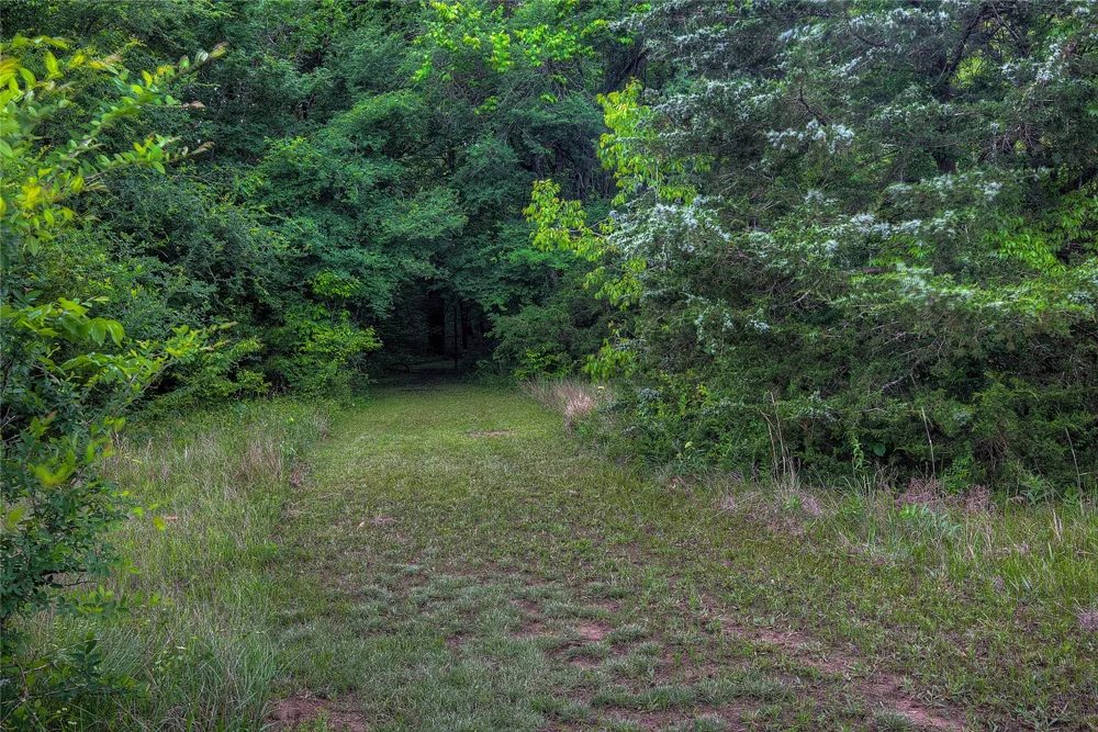 1774 County Road 3562 Dike, TX 75437