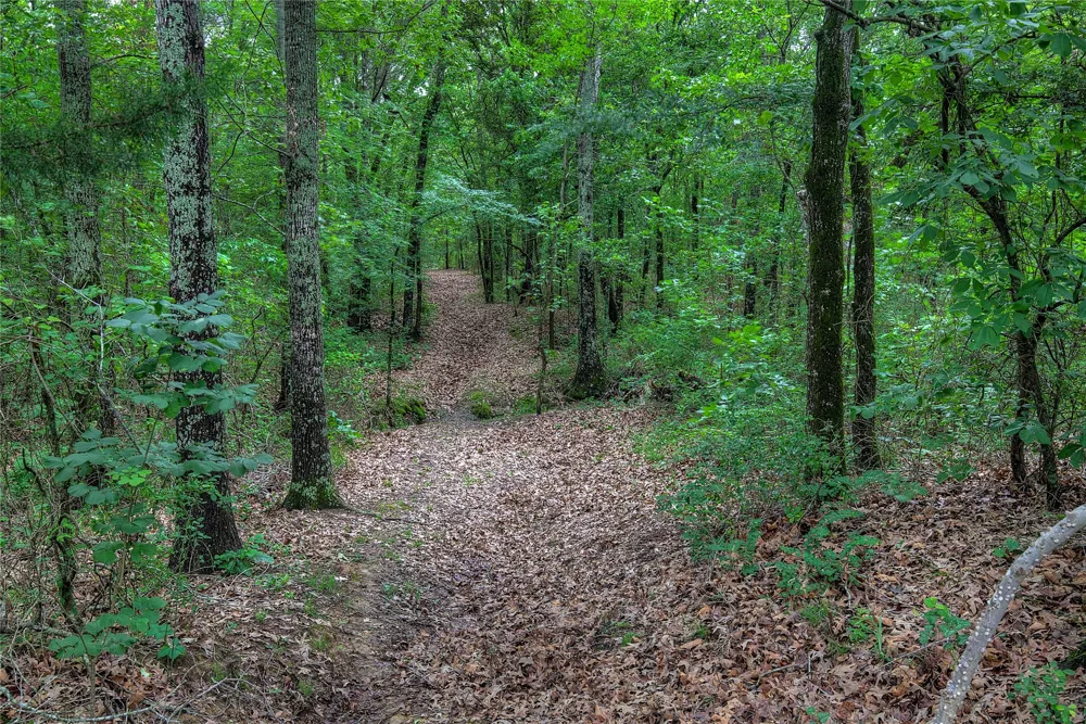 1774 County Road 3562 Dike, TX 75437