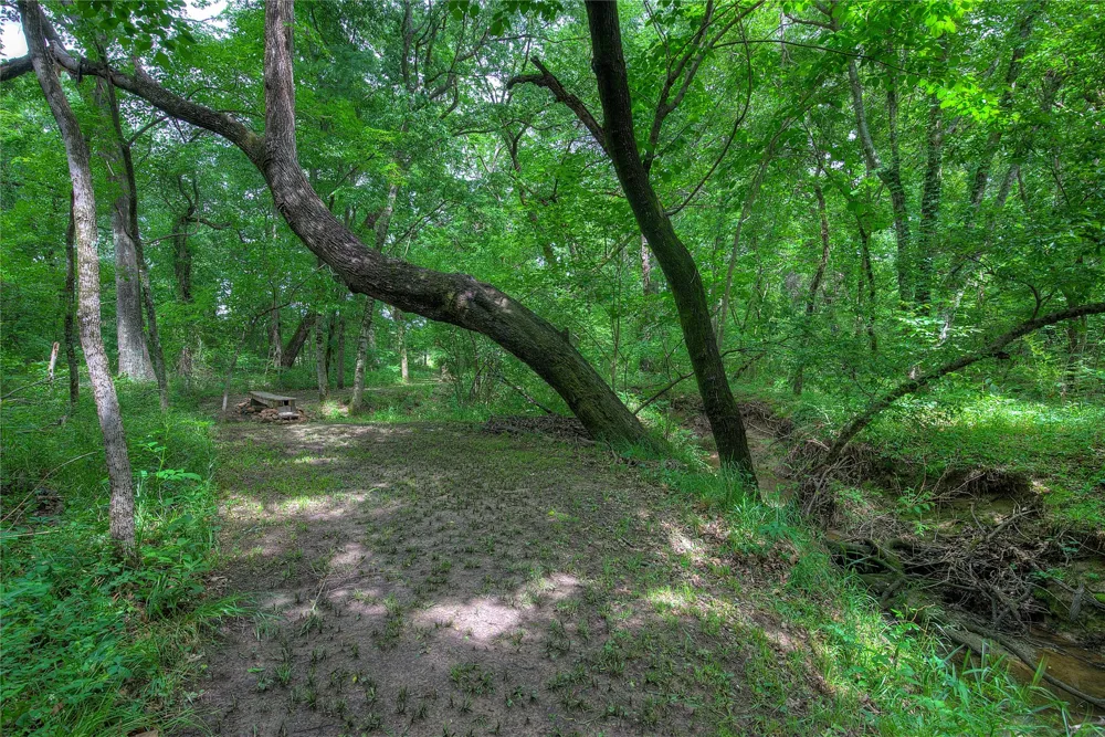 1774 County Road 3562 Dike, TX 75437