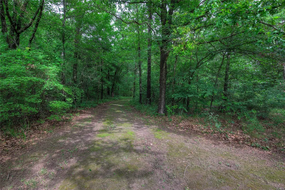 1774 County Road 3562 Dike, TX 75437