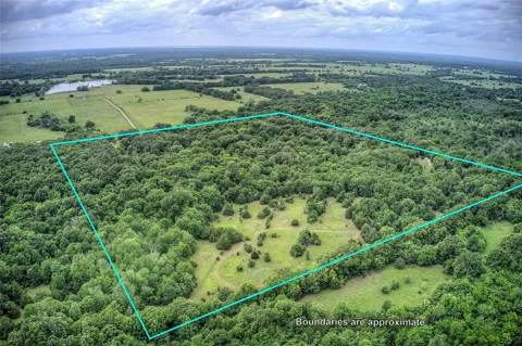1774 County Road 3562
