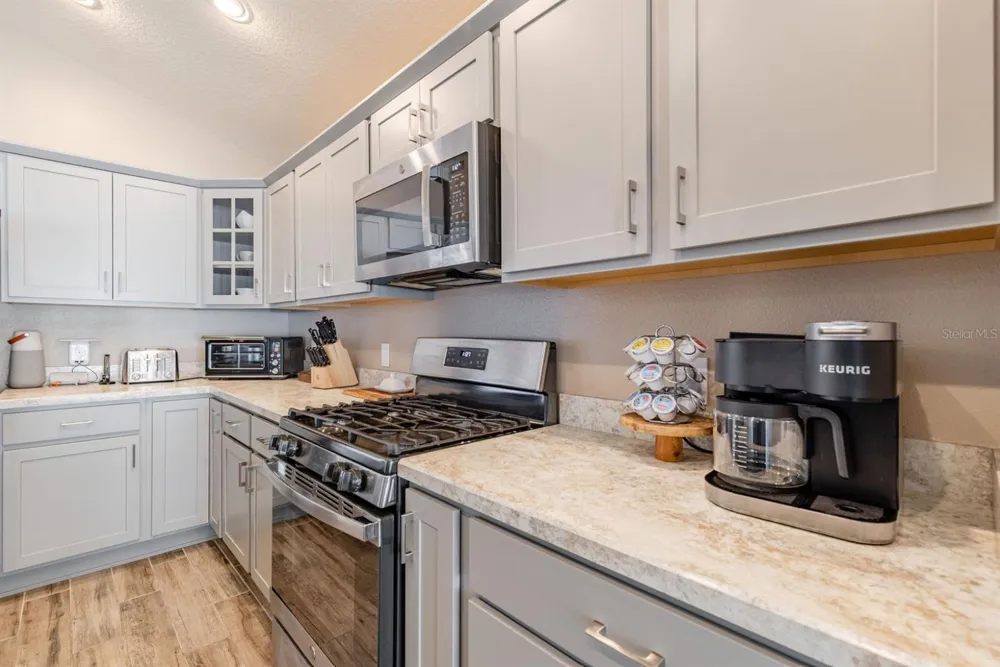 580 GOUGH PLACE The Villages, FL 32163