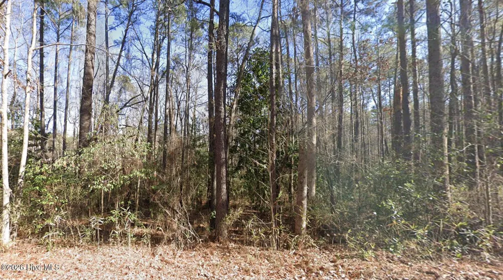 1669 Rainey Drive Spring Lake, NC 28390
