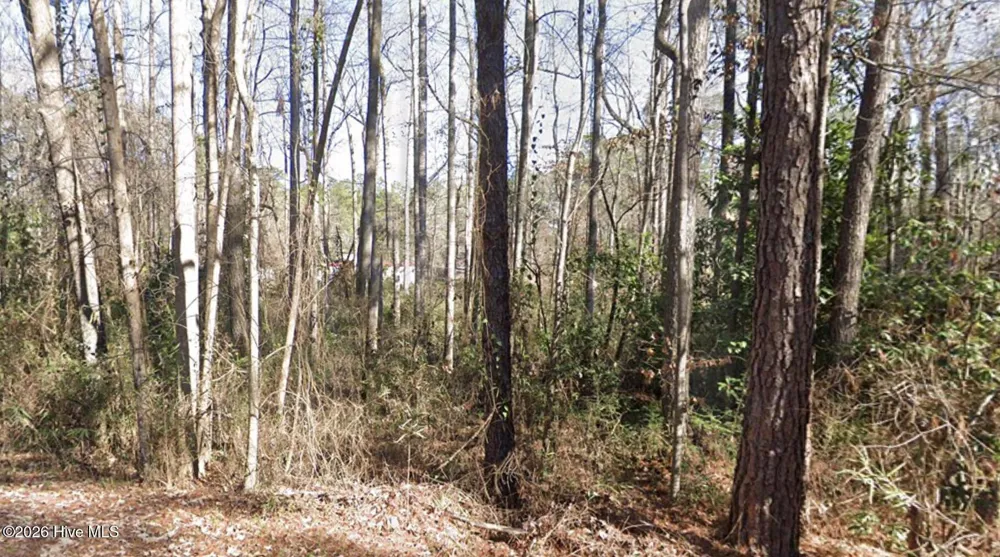 1669 Rainey Drive Spring Lake, NC 28390