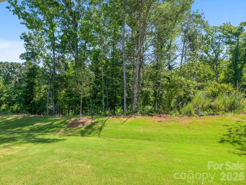 272 Alluvium Lane Waxhaw, NC 28173