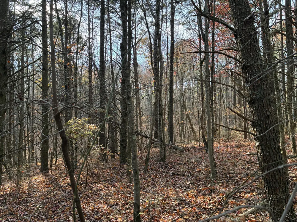 360 Bootleg Bend Guild, TN 37340