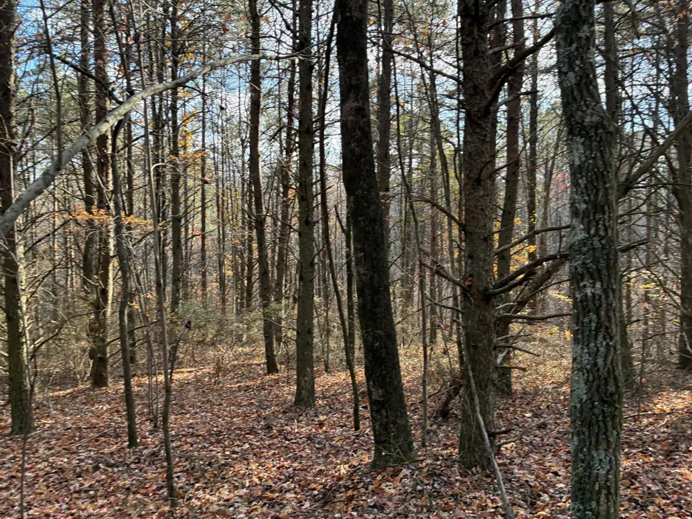 360 Bootleg Bend Guild, TN 37340