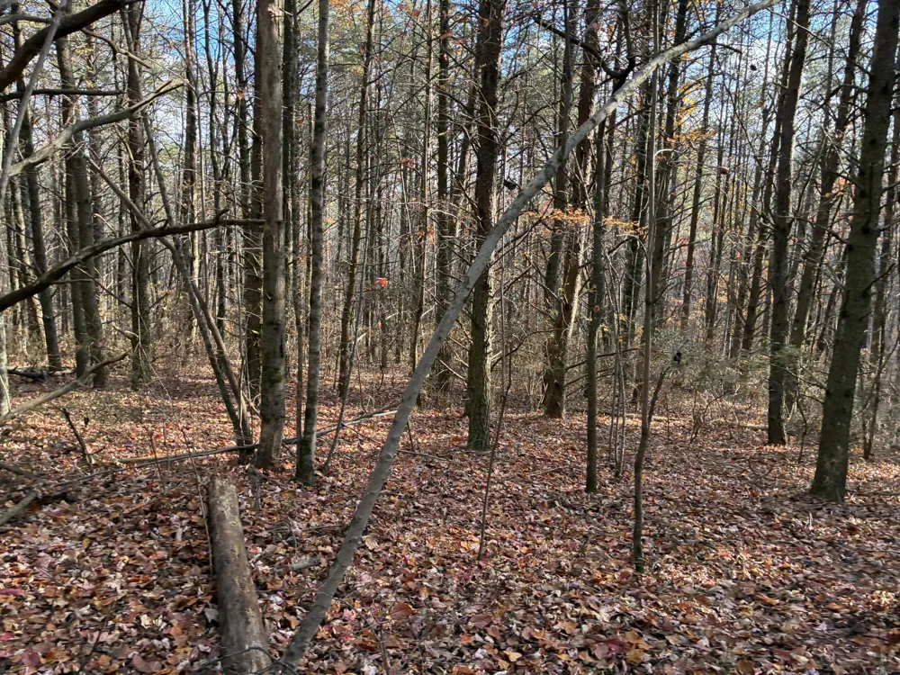 360 Bootleg Bend Guild, TN 37340