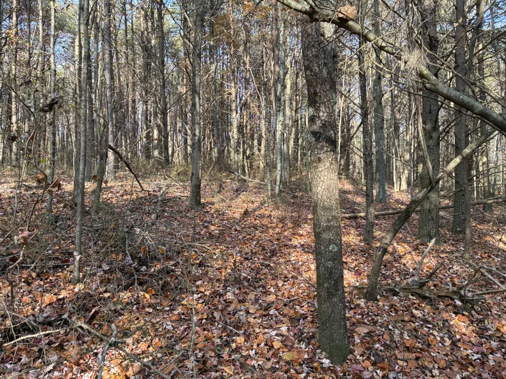 360 Bootleg Bend Guild, TN 37340