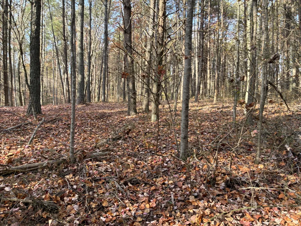 360 Bootleg Bend Guild, TN 37340