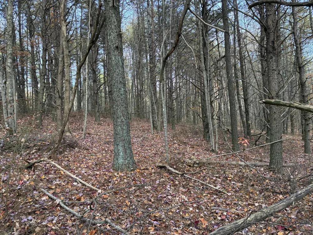 360 Bootleg Bend Guild, TN 37340