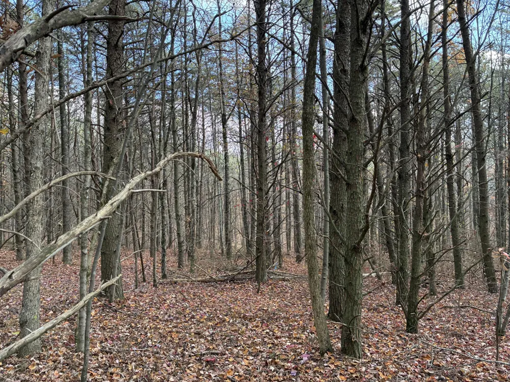360 Bootleg Bend Guild, TN 37340