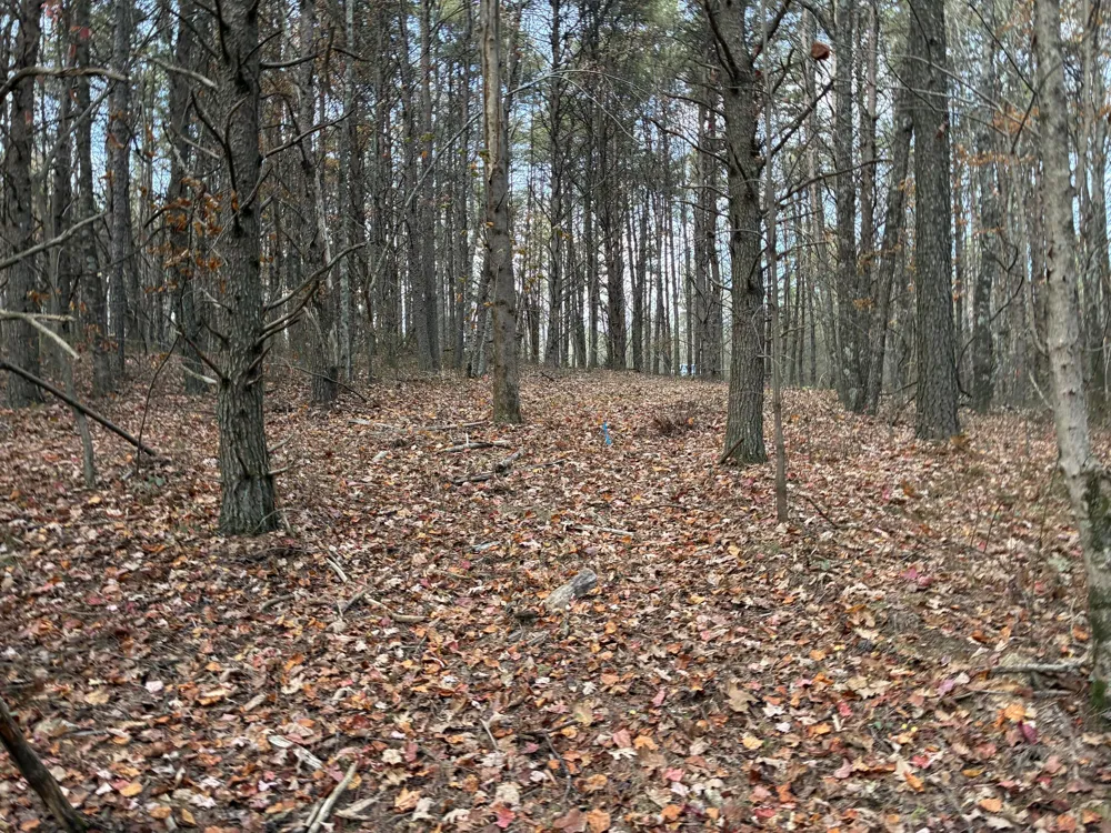 360 Bootleg Bend Guild, TN 37340