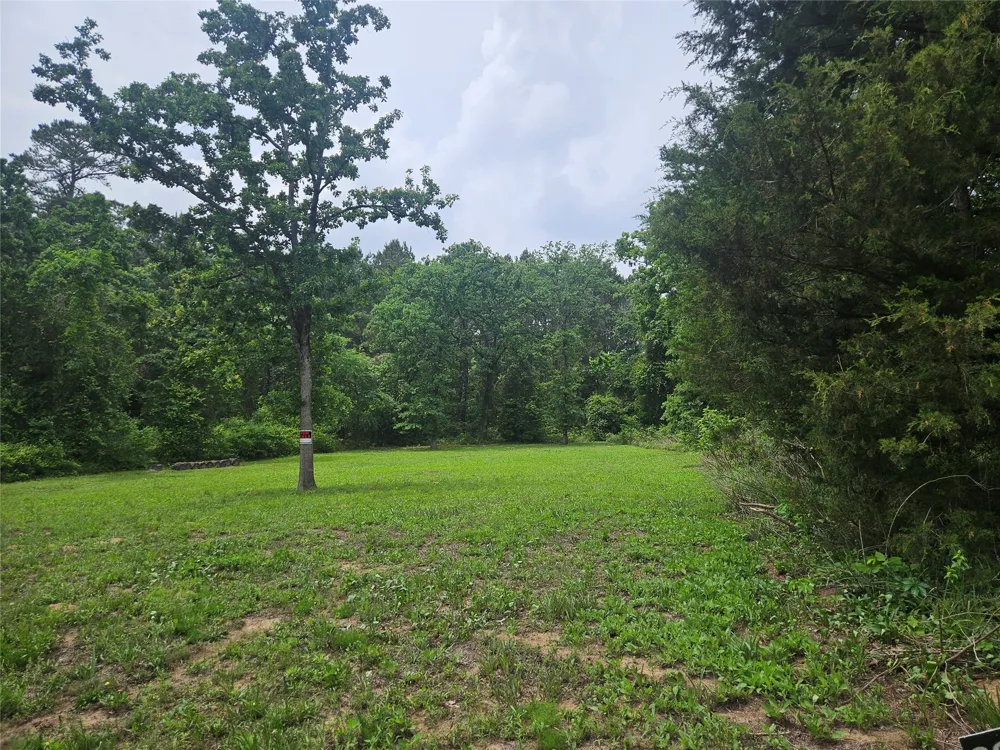 376 Elizabeth Drive Bullard, TX 75757