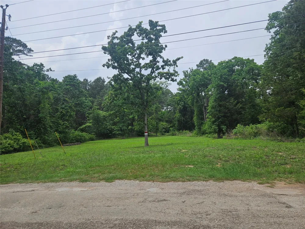 376 Elizabeth Drive Bullard, TX 75757