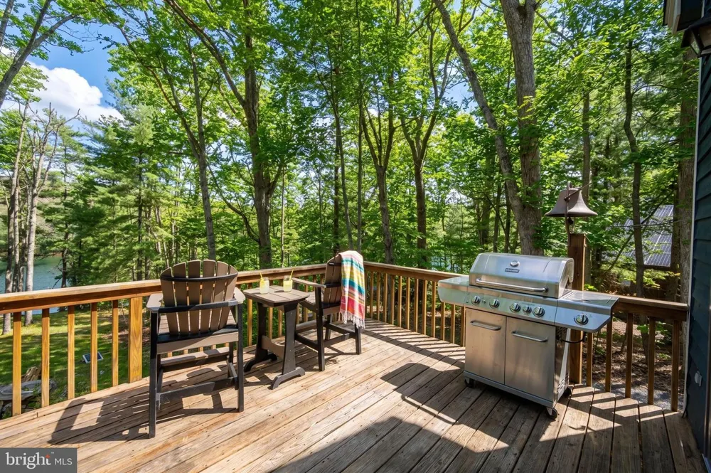340 SOUTH SHORE ROAD Swanton, MD 21561